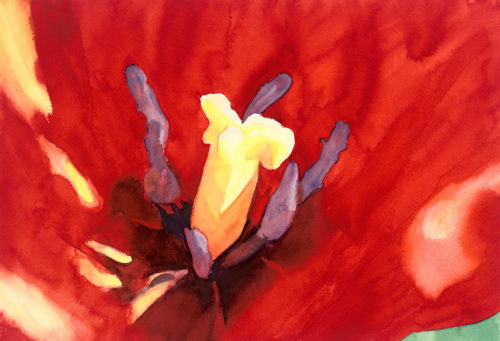 inside the red tulip, watercolor, 15 x 122.5 in., 1979